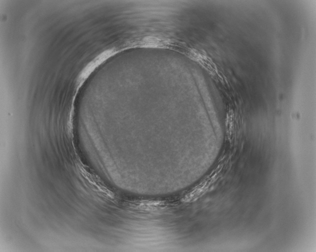 X0000085810292200704091614