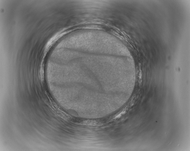 X0000085810294200704091614