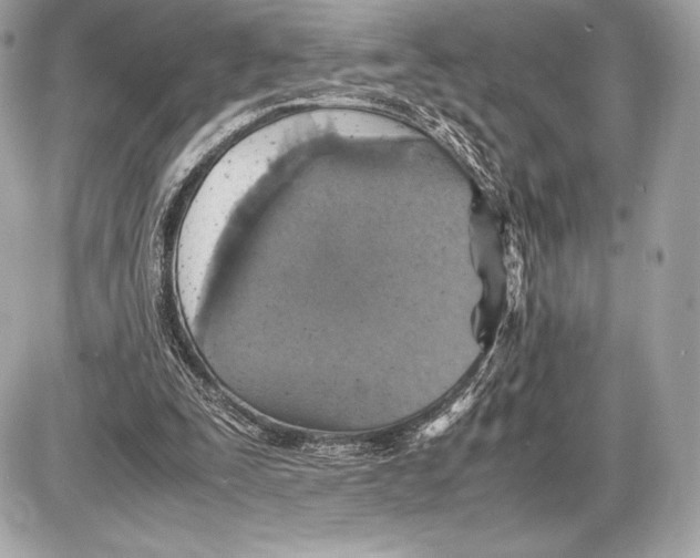 X0000085810295200704091614