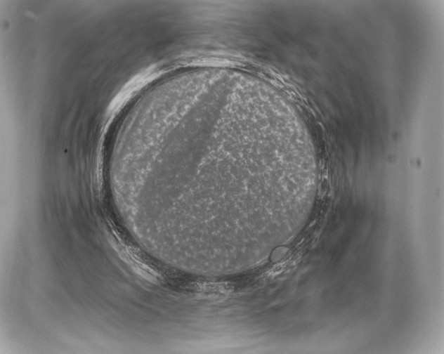 X0000085810296200704091614