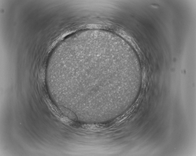 X0000085810297200704091613