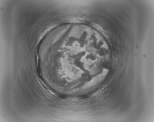 X0000085810299200704091613