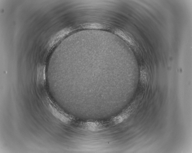 X0000085810302200704091613