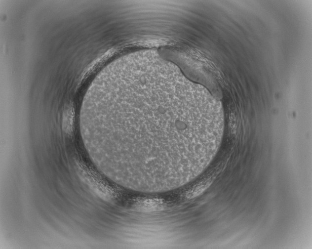 X0000085810304200704091613