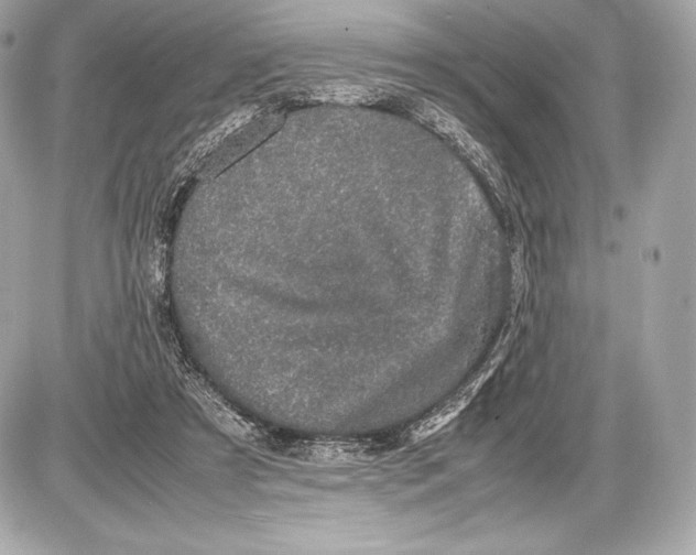 X0000085810305200704091613