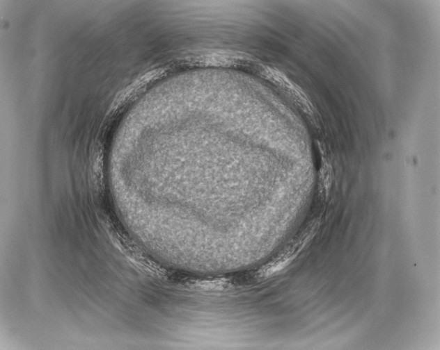 X0000085810306200704091613