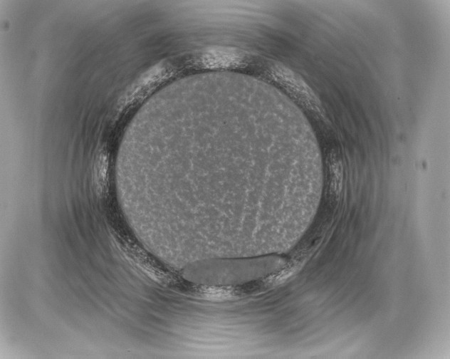 X0000085810308200704091613