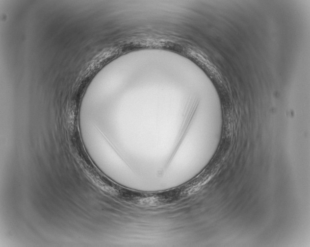 X0000085810309200704091613