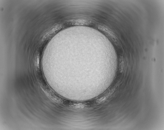 X0000085810310200704091613