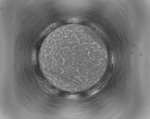 X0000085810312200704091613