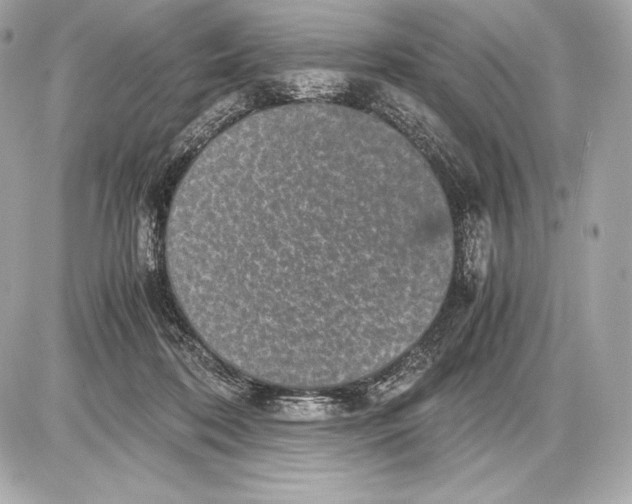 X0000085810316200704091613