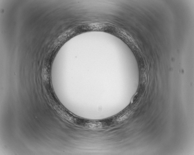 X0000085810317200704091613