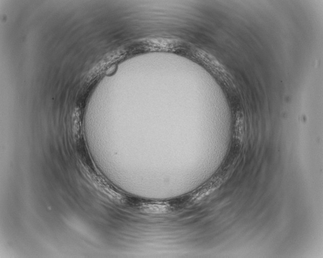 X0000085810318200704091613