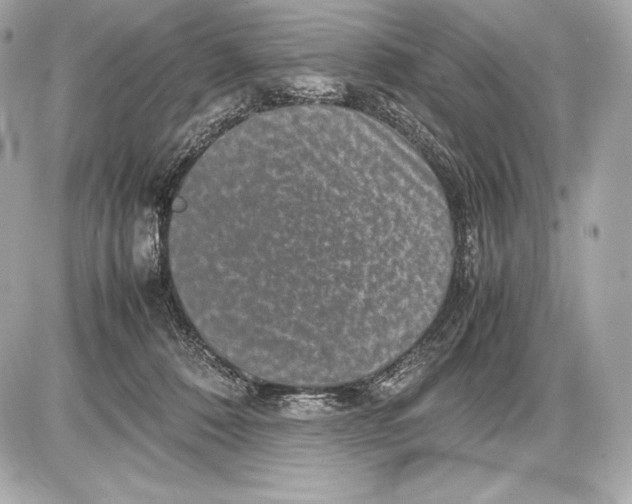 X0000085810320200704091613