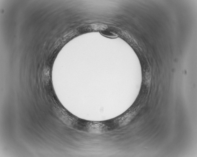 X0000085810321200704091613