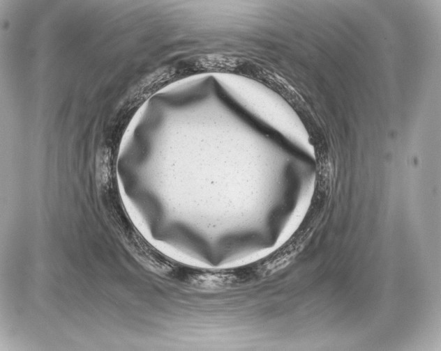 X0000085810323200704091613