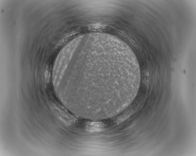 X0000085810324200704091613