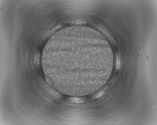 X0000085810326200704091613