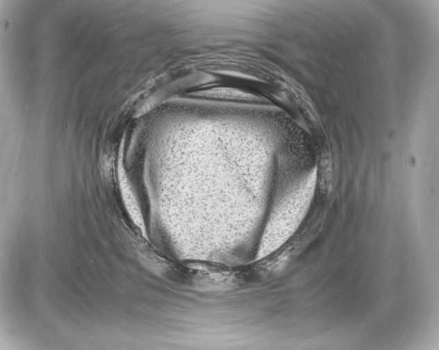 X0000085810329200704091613