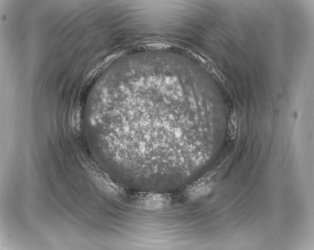 X0000085810330200704091613