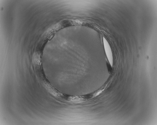 X0000085810331200704091613