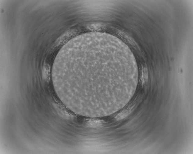 X0000085810332200704091613