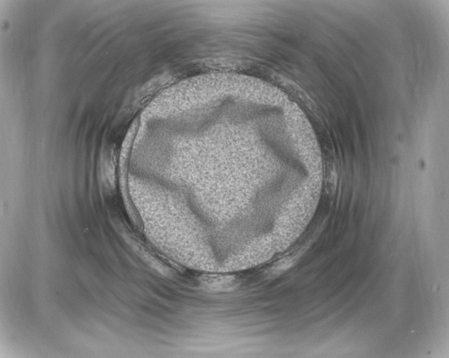 X0000085810334200704091613