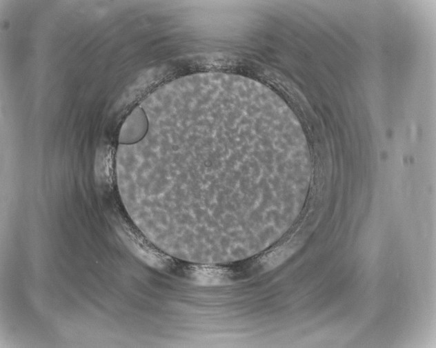 X0000085810336200704091613