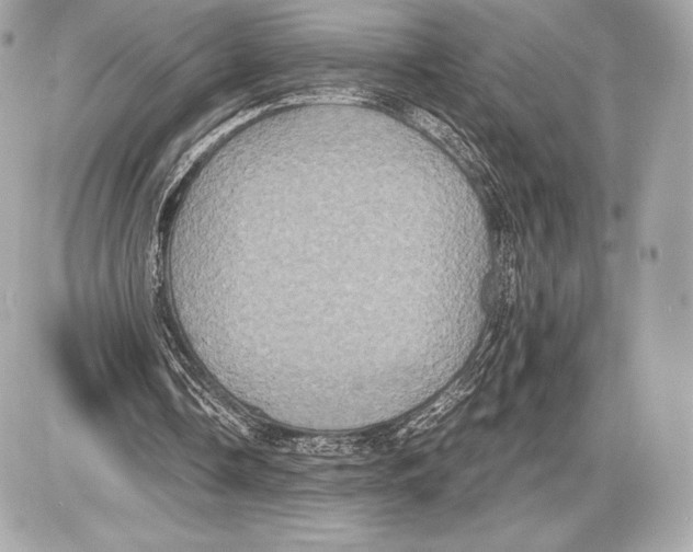 X0000085810338200704091612