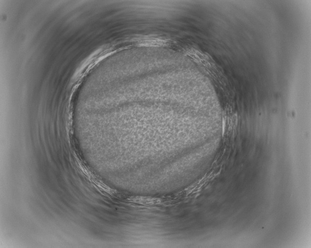 X0000085810339200704091612