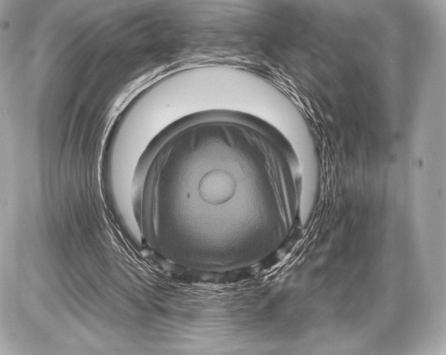 X0000085810340200704091612