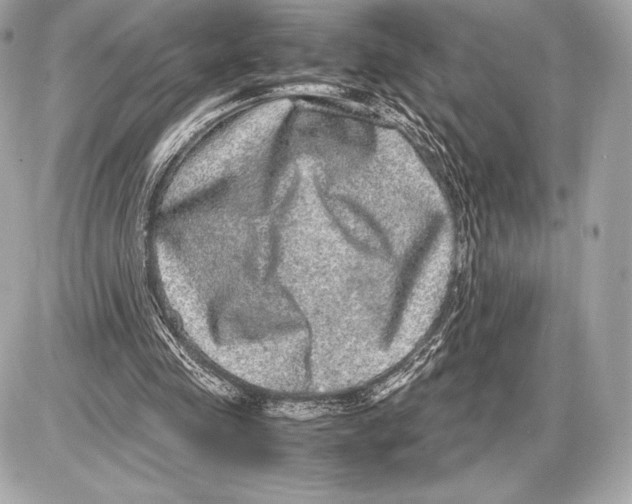 X0000085810341200704091612