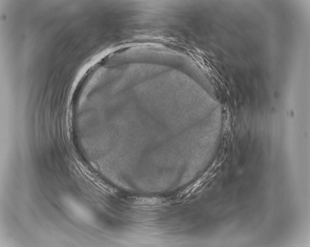 X0000085810342200704091612