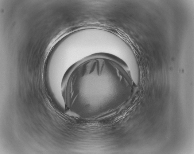 X0000085810344200704091612