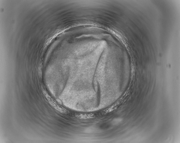 X0000085810345200704091612