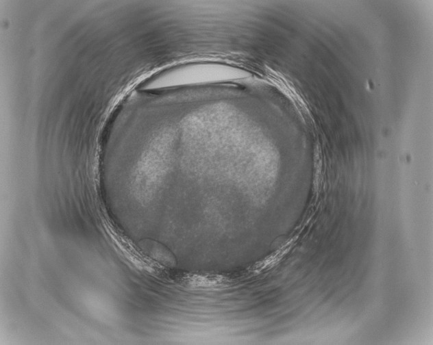 X0000085810346200704091612