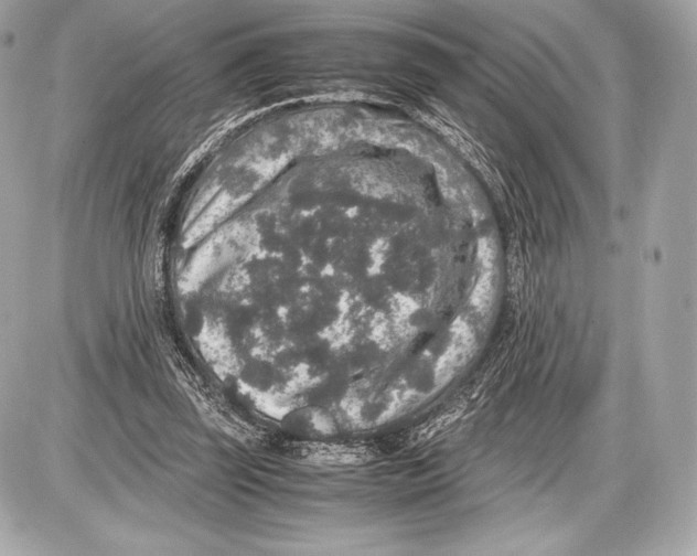 X0000085810347200704091612