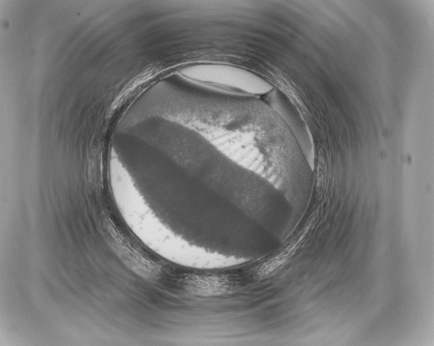 X0000085810349200704091612