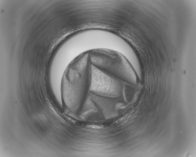 X0000085810352200704091612