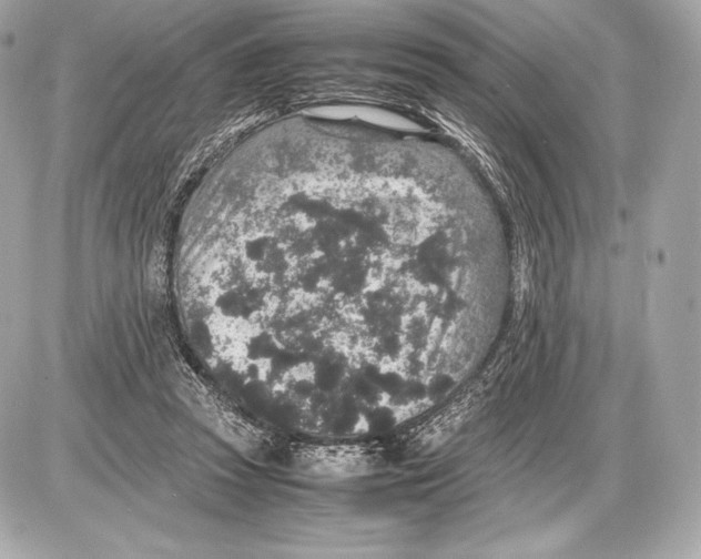 X0000085810353200704091612