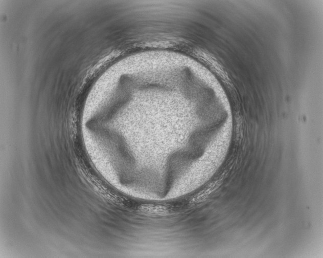 X0000085810354200704091612