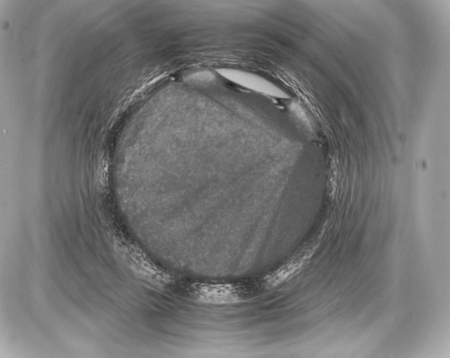 X0000085810355200704091612