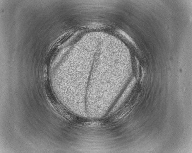 X0000085810356200704091612