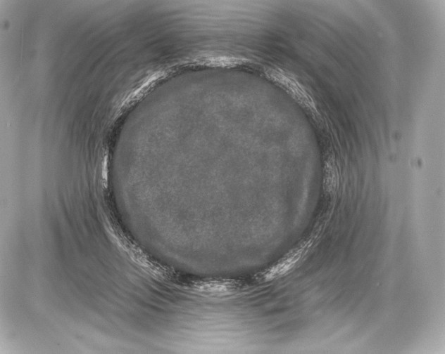 X0000085810358200704091612