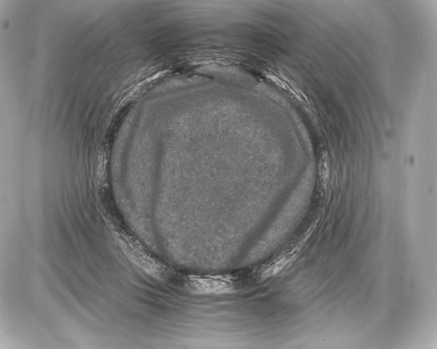 X0000085810359200704091612