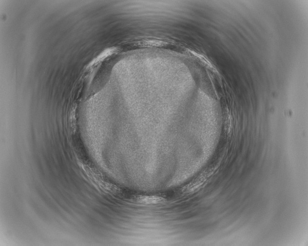 X0000085810360200704091612