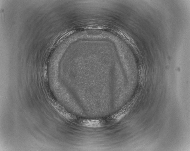 X0000085810361200704091612