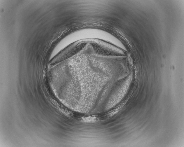 X0000085810362200704091612