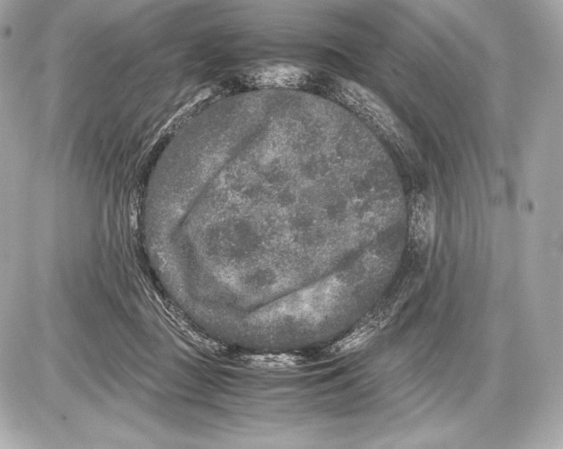 X0000085810363200704091612