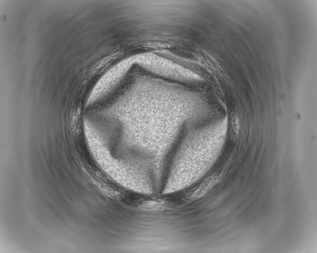 X0000085810364200704091612